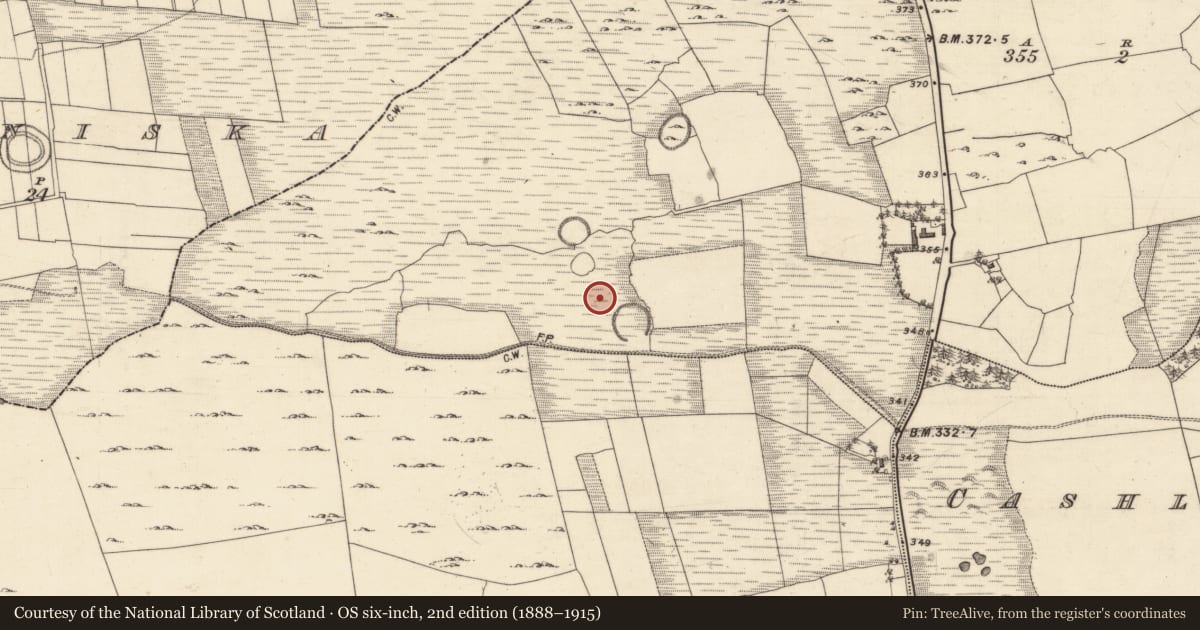 Ordnance Survey six-inch map, 2nd edition (1888–1915) covering the location of Settlement deserted - medieval, Cahernaglass, County Galway, with a pin at the register's coordinates