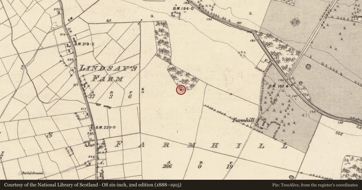 Ordnance Survey six-inch map, 2nd edition (1888–1915) covering the location of Children's burial ground, Farmhill, County Galway, with a pin at the register's coordinates