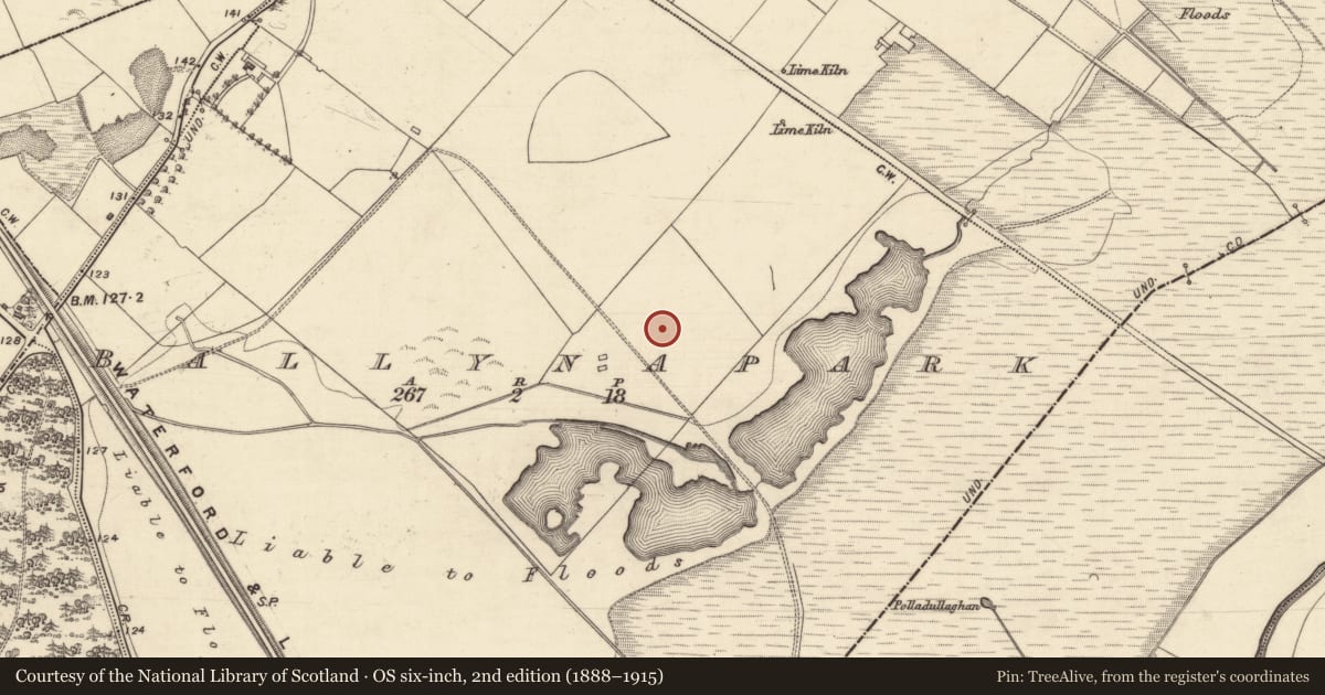 Ordnance Survey six-inch map, 2nd edition (1888–1915) covering the location of House - 18th/19th century, Ballynapark, County Galway, with a pin at the register's coordinates