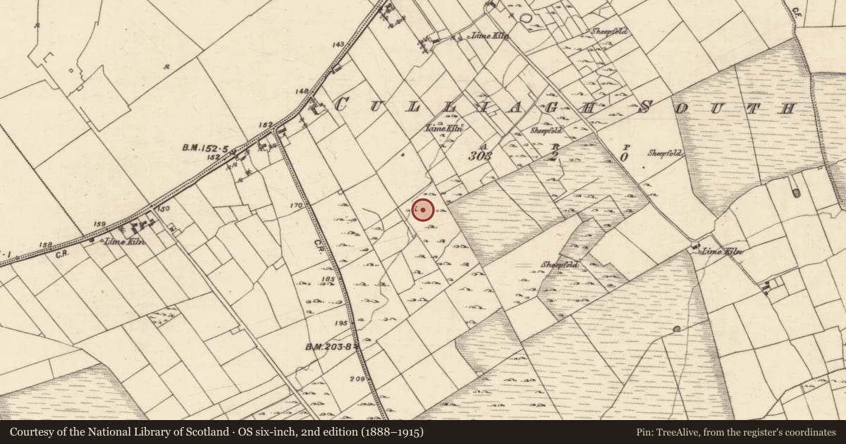 Ordnance Survey six-inch map, 2nd edition (1888–1915) covering the location of Ringfort - unclassified, Culliagh South, County Galway, with a pin at the register's coordinates