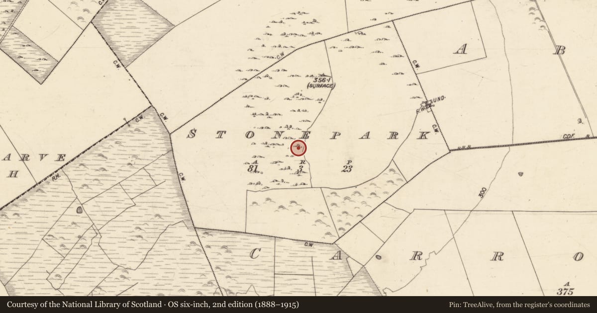 Ordnance Survey six-inch map, 2nd edition (1888–1915) covering the location of Well, Stonepark, County Galway, with a pin at the register's coordinates