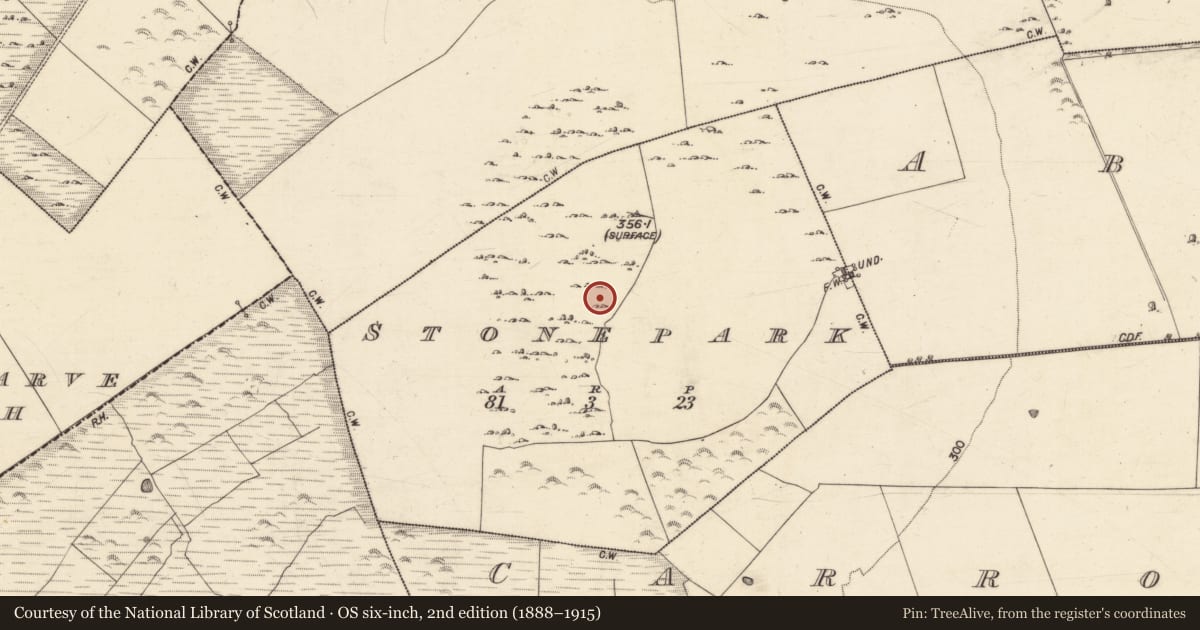 Ordnance Survey six-inch map, 2nd edition (1888–1915) covering the location of Enclosure, Stonepark, County Galway, with a pin at the register's coordinates