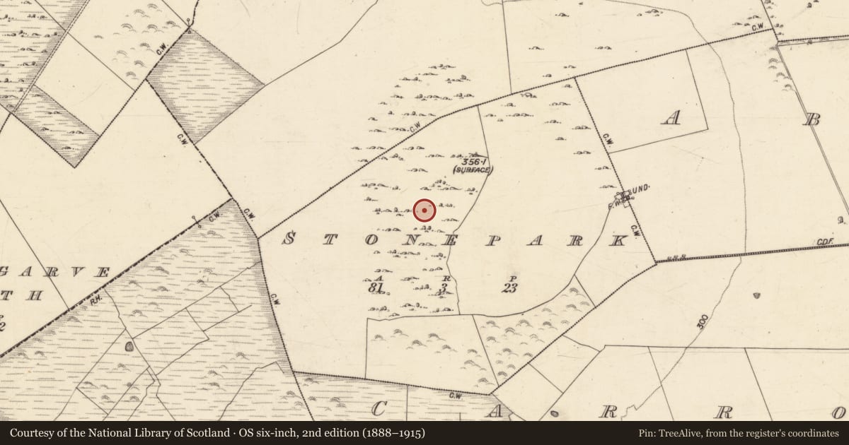 Ordnance Survey six-inch map, 2nd edition (1888–1915) covering the location of Field system, Stonepark, County Galway, with a pin at the register's coordinates
