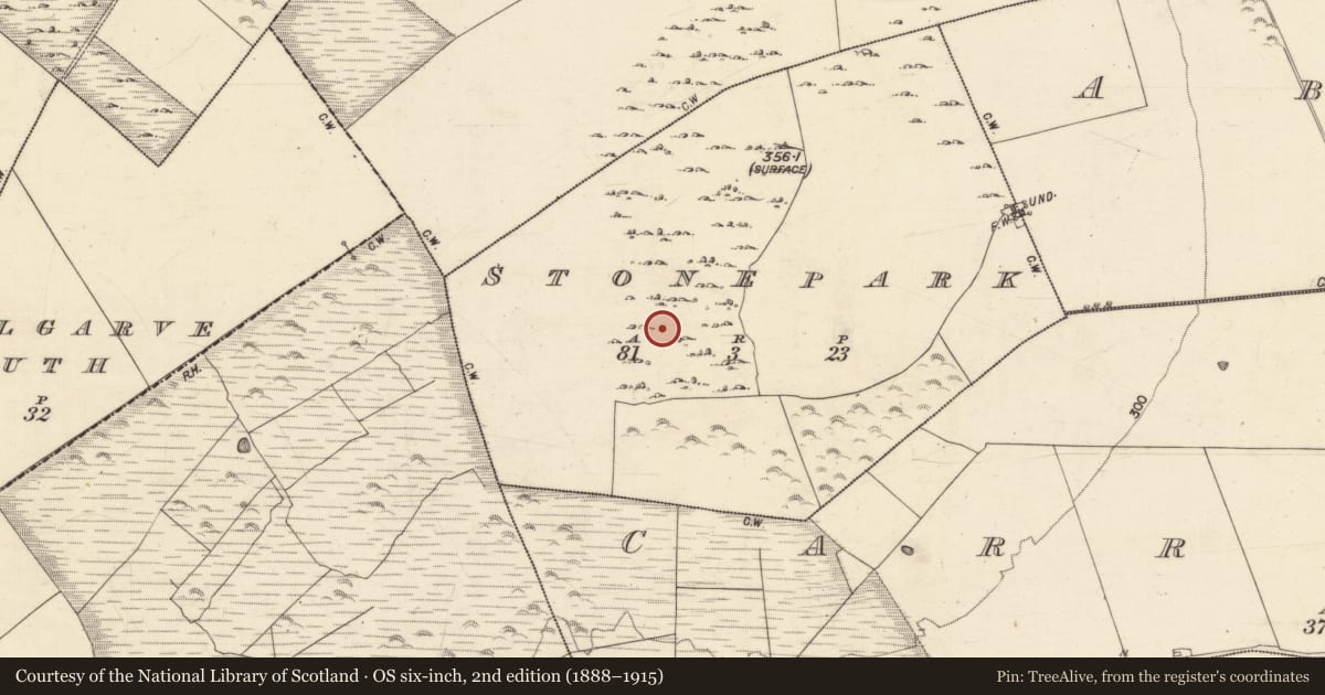 Ordnance Survey six-inch map, 2nd edition (1888–1915) covering the location of Ringfort - cashel, Stonepark, County Galway, with a pin at the register's coordinates