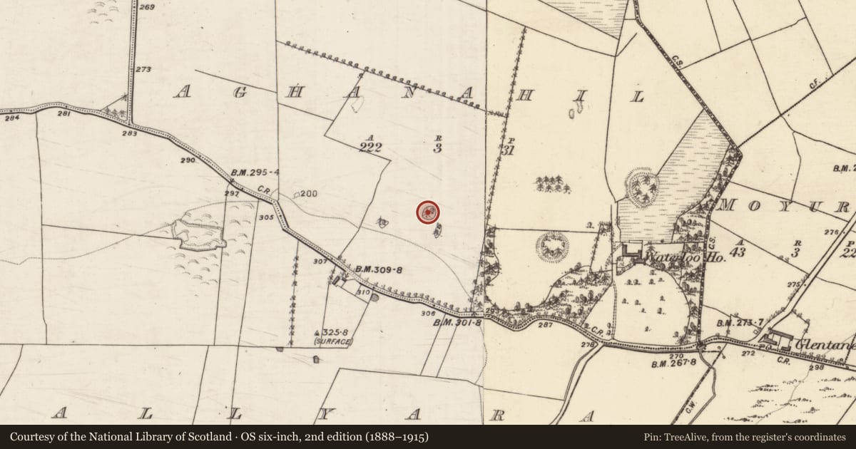 Ordnance Survey six-inch map, 2nd edition (1888–1915) covering the location of Designed landscape - tree-ring, Aghanahil, County Galway, with a pin at the register's coordinates