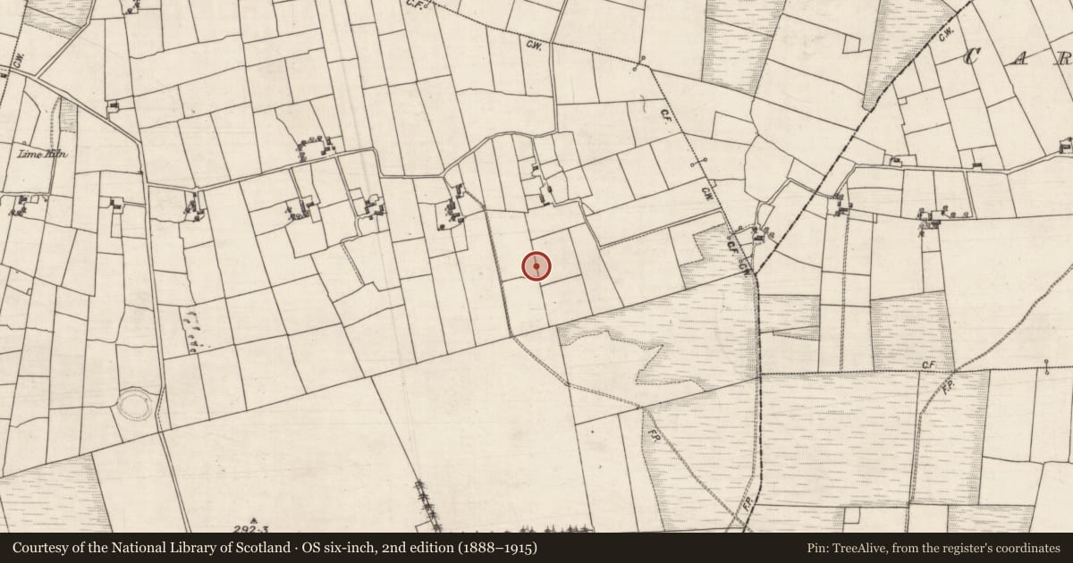 Ordnance Survey six-inch map, 2nd edition (1888–1915) covering the location of Ringfort - unclassified, Ballinrooaun, County Galway, with a pin at the register's coordinates