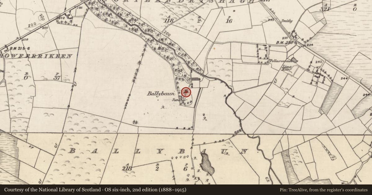 Ordnance Survey six-inch map, 2nd edition (1888–1915) covering the location of House - indeterminate date, Ballybaun, County Galway, with a pin at the register's coordinates