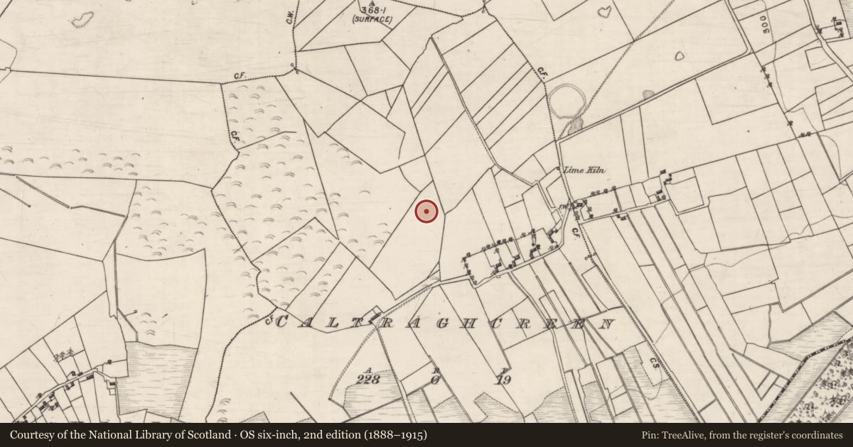 Ordnance Survey six-inch map, 2nd edition (1888–1915) covering the location of Children's burial ground, Caltraghcreen, County Galway, with a pin at the register's coordinates