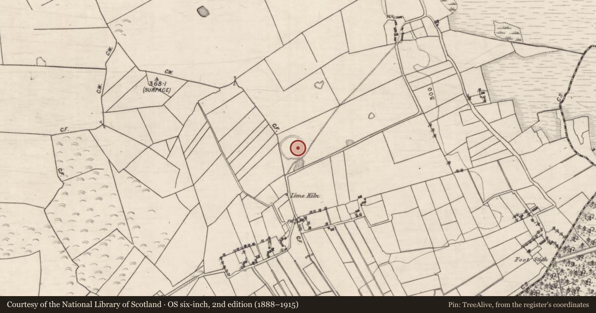 Ordnance Survey six-inch map, 2nd edition (1888–1915) covering the location of Ringfort - unclassified, Caltraghcreen, Moneen, County Galway, with a pin at the register's coordinates