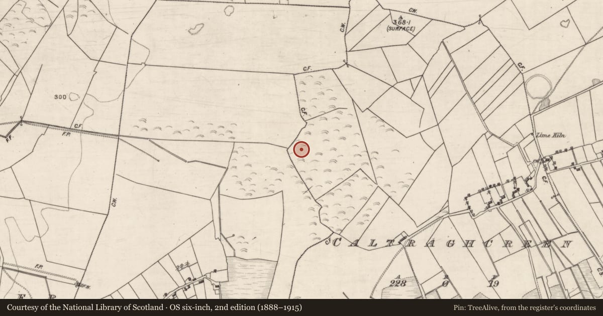 Ordnance Survey six-inch map, 2nd edition (1888–1915) covering the location of Brickworks, Caltraghcreen, Knockavilla, County Galway, with a pin at the register's coordinates