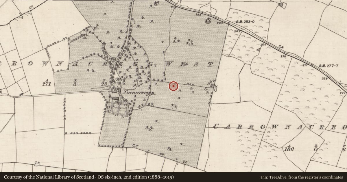 Ordnance Survey six-inch map, 2nd edition (1888–1915) covering the location of Designed landscape - tree-ring, Carrownacregg West, County Galway, with a pin at the register's coordinates
