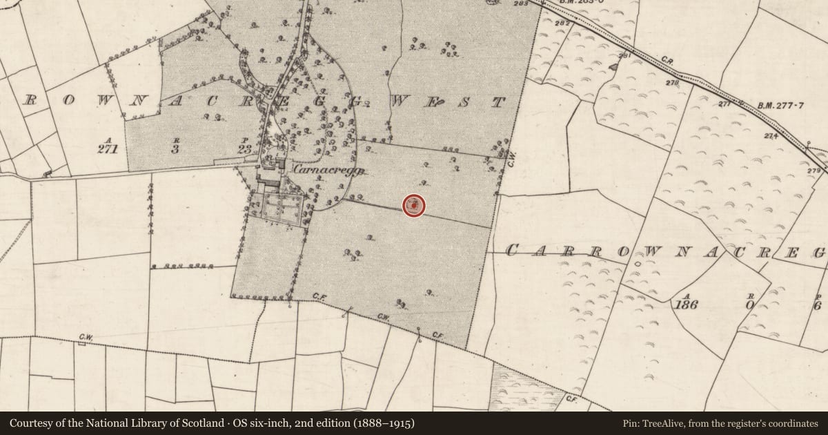 Ordnance Survey six-inch map, 2nd edition (1888–1915) covering the location of Designed landscape - tree-ring, Carrownacregg West, County Galway, with a pin at the register's coordinates