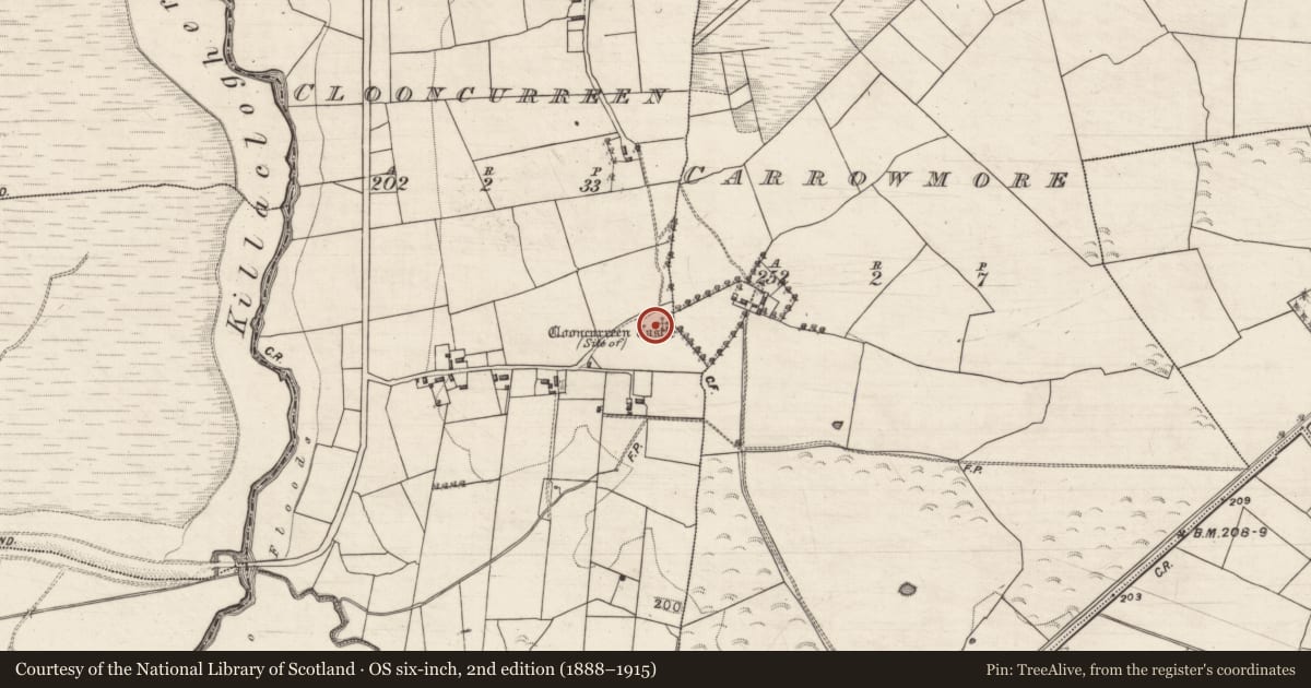 Ordnance Survey six-inch map, 2nd edition (1888–1915) covering the location of Castle - unclassified, Clooncurreen, County Galway, with a pin at the register's coordinates