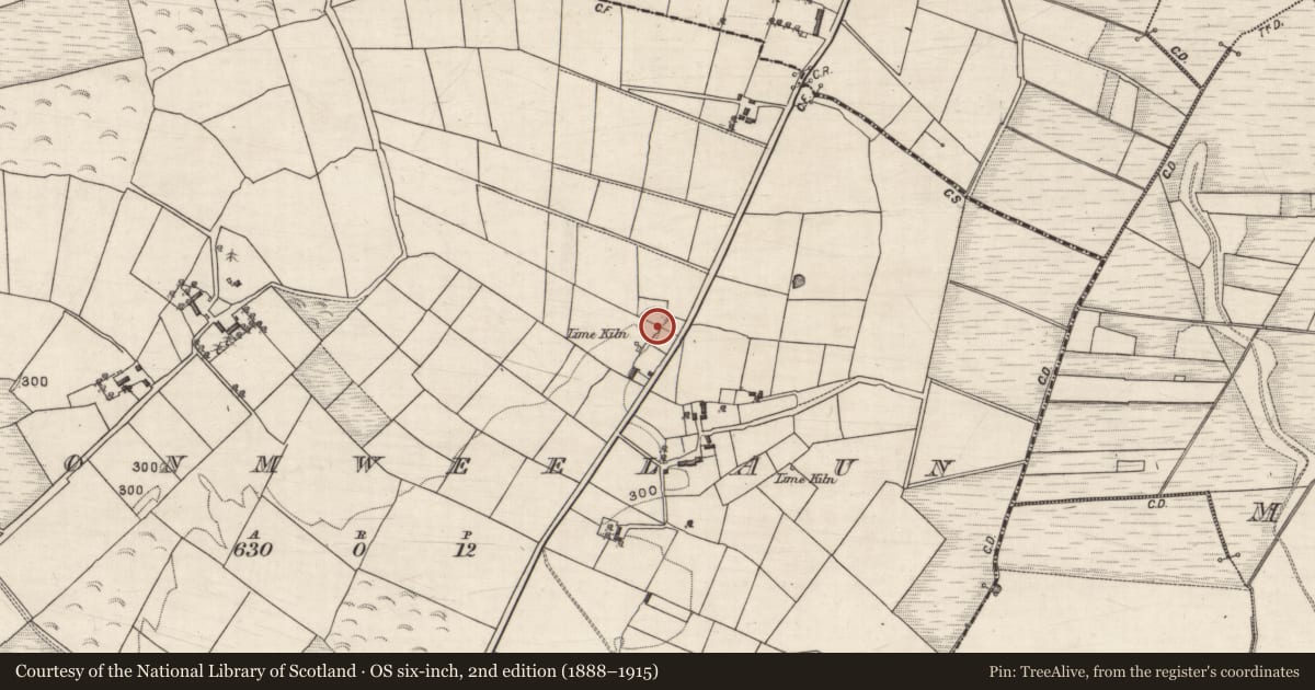Ordnance Survey six-inch map, 2nd edition (1888–1915) covering the location of Ringfort - unclassified, Cloonmweelaun, County Galway, with a pin at the register's coordinates