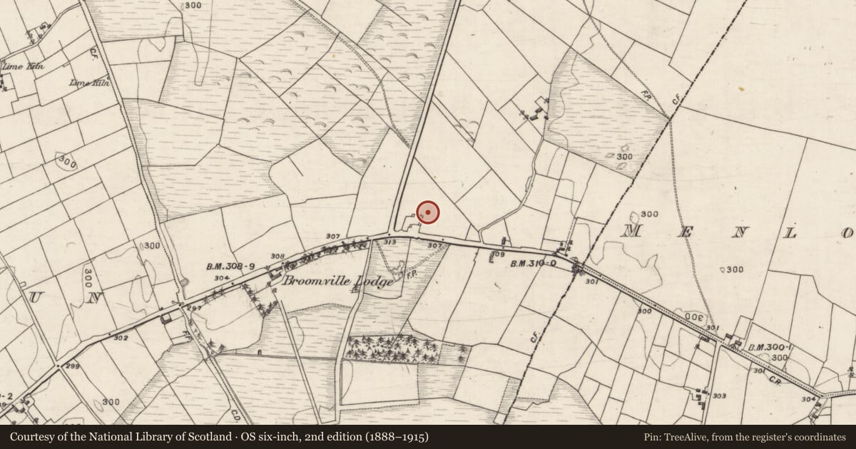 Ordnance Survey six-inch map, 2nd edition (1888–1915) covering the location of Burial ground, Cloonmweelaun, County Galway, with a pin at the register's coordinates