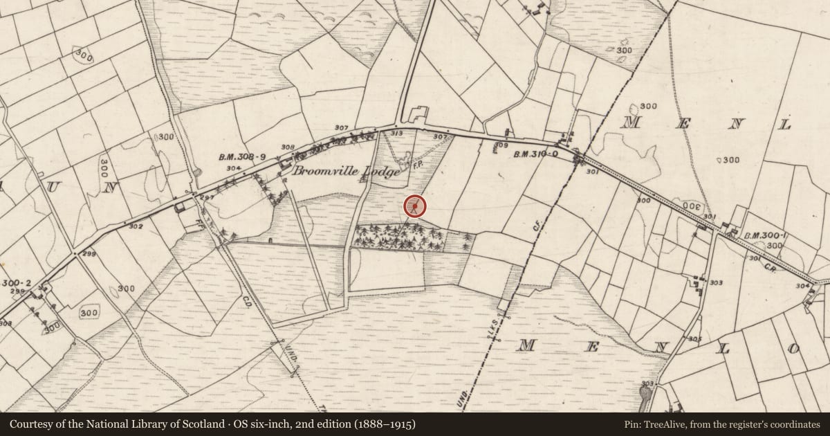 Ordnance Survey six-inch map, 2nd edition (1888–1915) covering the location of Megalithic tomb - court tomb, Cloonmweelaun, County Galway, with a pin at the register's coordinates