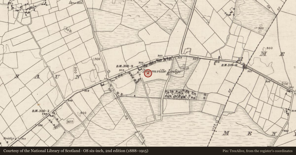 Ordnance Survey six-inch map, 2nd edition (1888–1915) covering the location of Fulacht fia, Cloonmweelaun, County Galway, with a pin at the register's coordinates