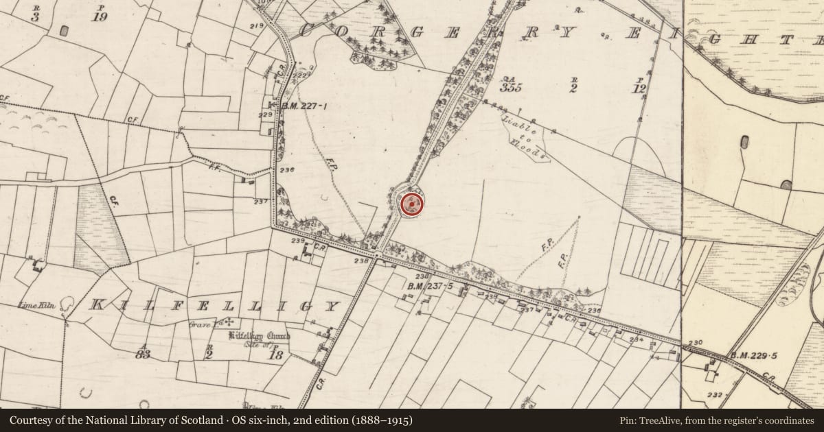 Ordnance Survey six-inch map, 2nd edition (1888–1915) covering the location of Ringfort - unclassified, Corgerry Eighter, County Galway, with a pin at the register's coordinates