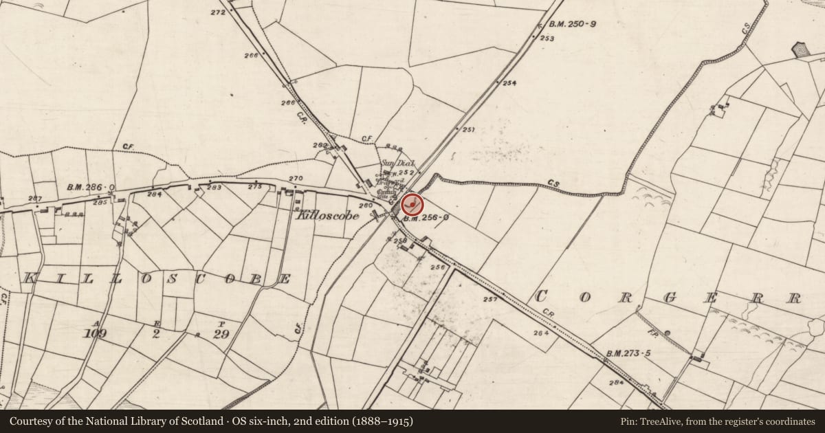 Ordnance Survey six-inch map, 2nd edition (1888–1915) covering the location of Ritual site - holy well, Corgerry Oughter, County Galway, with a pin at the register's coordinates