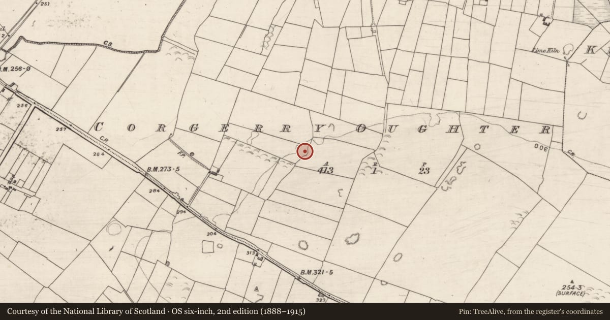 Ordnance Survey six-inch map, 2nd edition (1888–1915) covering the location of Ringfort - unclassified, Corgerry Oughter, County Galway, with a pin at the register's coordinates