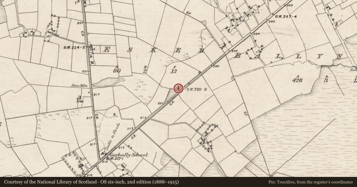 Ordnance Survey six-inch map, 2nd edition (1888–1915) covering the location of Mound, Esker, County Galway, with a pin at the register's coordinates