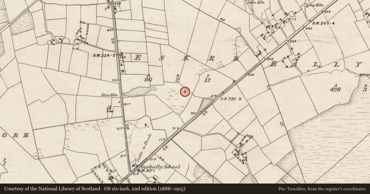 Ordnance Survey six-inch map, 2nd edition (1888–1915) covering the location of Burial, Esker, County Galway, with a pin at the register's coordinates