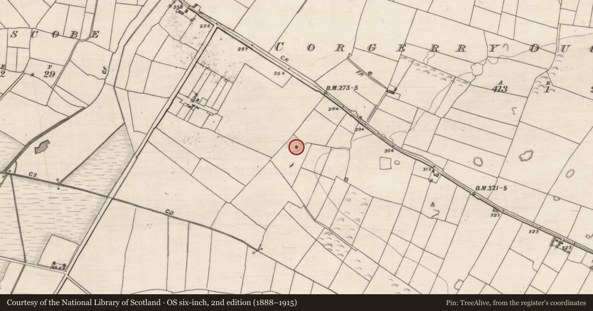 Ordnance Survey six-inch map, 2nd edition (1888–1915) covering the location of Enclosure, Fairhill, County Galway, with a pin at the register's coordinates