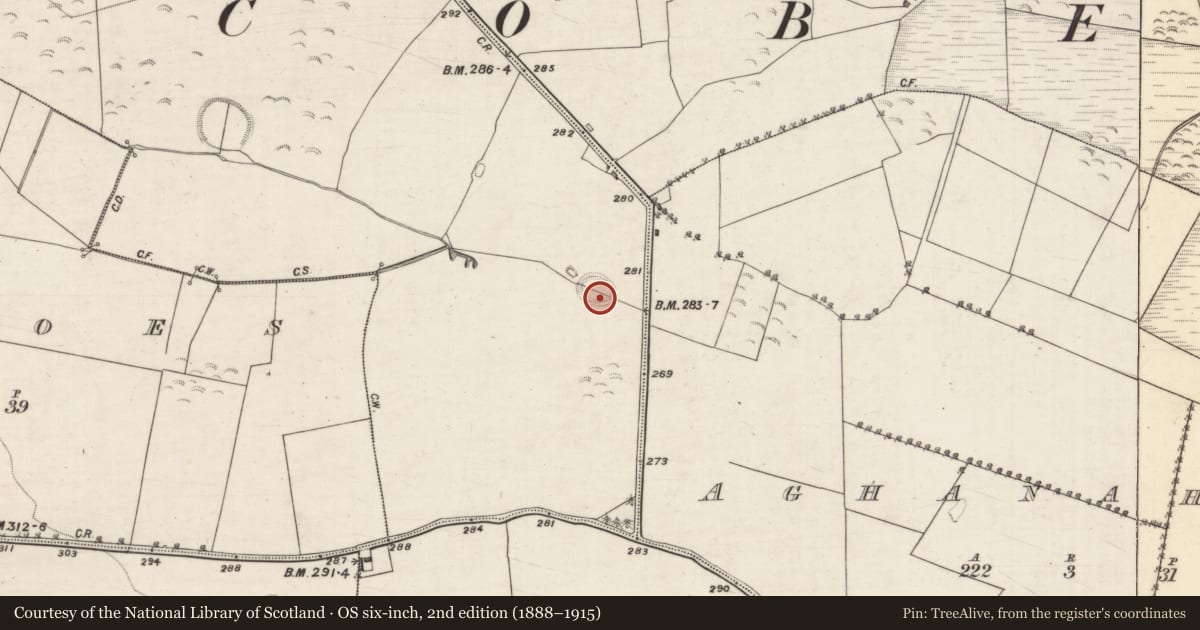 Ordnance Survey six-inch map, 2nd edition (1888–1915) covering the location of Ringfort - unclassified, Fairhill, County Galway, with a pin at the register's coordinates