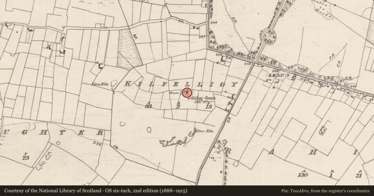 Ordnance Survey six-inch map, 2nd edition (1888–1915) covering the location of Church, Kilfelligy, County Galway, with a pin at the register's coordinates