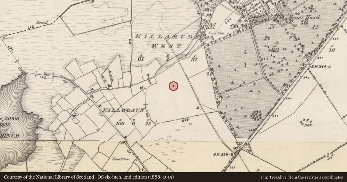 Ordnance Survey six-inch map, 2nd edition (1888–1915) covering the location of Church, Killamude West, County Galway, with a pin at the register's coordinates