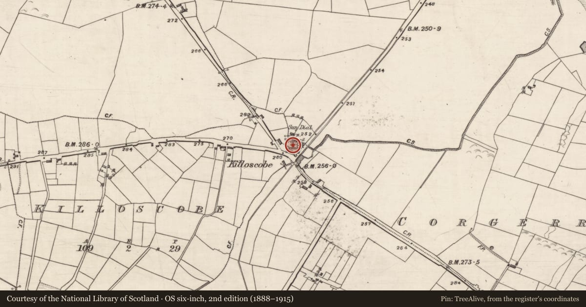 Ordnance Survey six-inch map, 2nd edition (1888–1915) covering the location of Church, Killoscobe, County Galway, with a pin at the register's coordinates