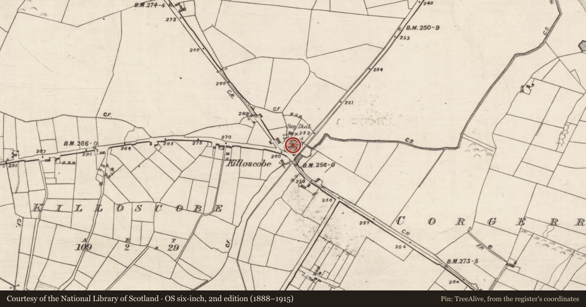 Ordnance Survey six-inch map, 2nd edition (1888–1915) covering the location of Graveyard, Killoscobe, County Galway, with a pin at the register's coordinates
