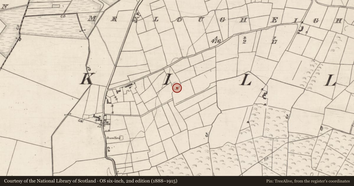 Ordnance Survey six-inch map, 2nd edition (1888–1915) covering the location of Souterrain, Menlough Eighter, County Galway, with a pin at the register's coordinates