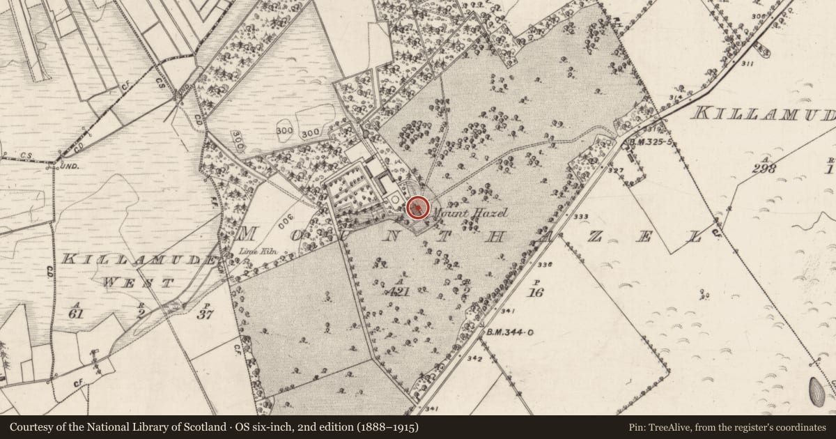 Ordnance Survey six-inch map, 2nd edition (1888–1915) covering the location of House - 18th/19th century, Mounthazel, County Galway, with a pin at the register's coordinates