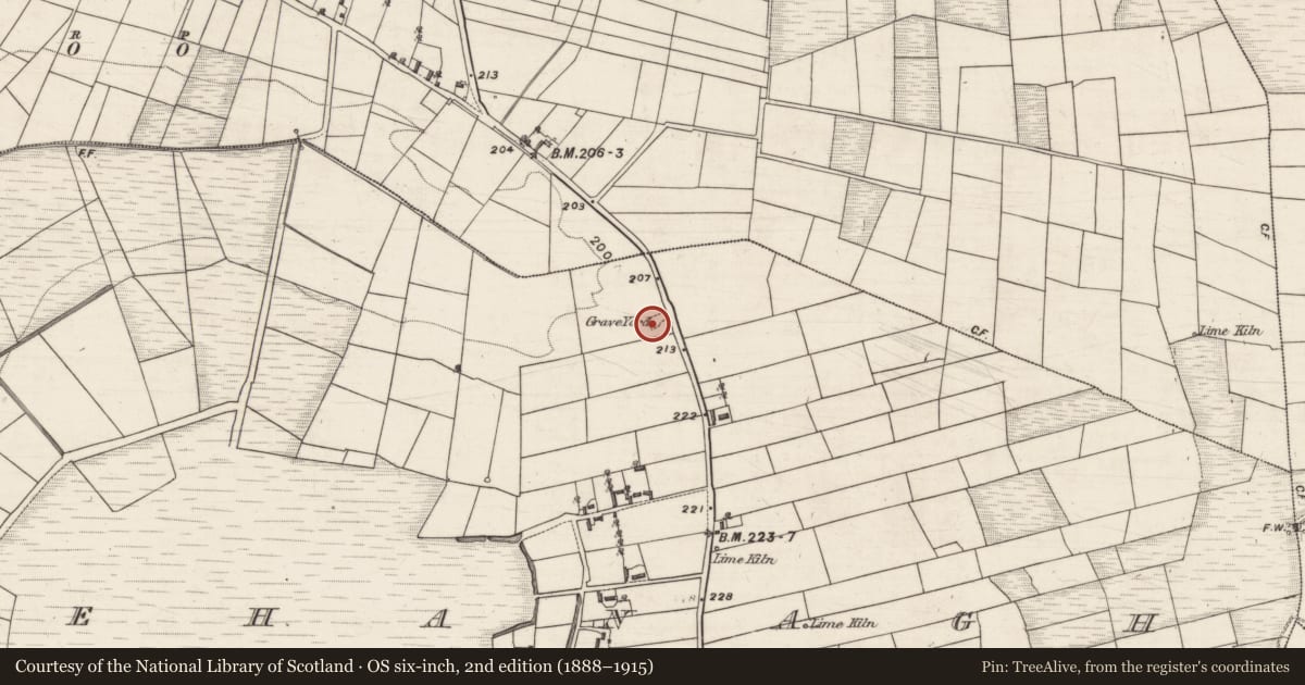 Ordnance Survey six-inch map, 2nd edition (1888–1915) covering the location of Children's burial ground, Skehanagh, County Galway, with a pin at the register's coordinates