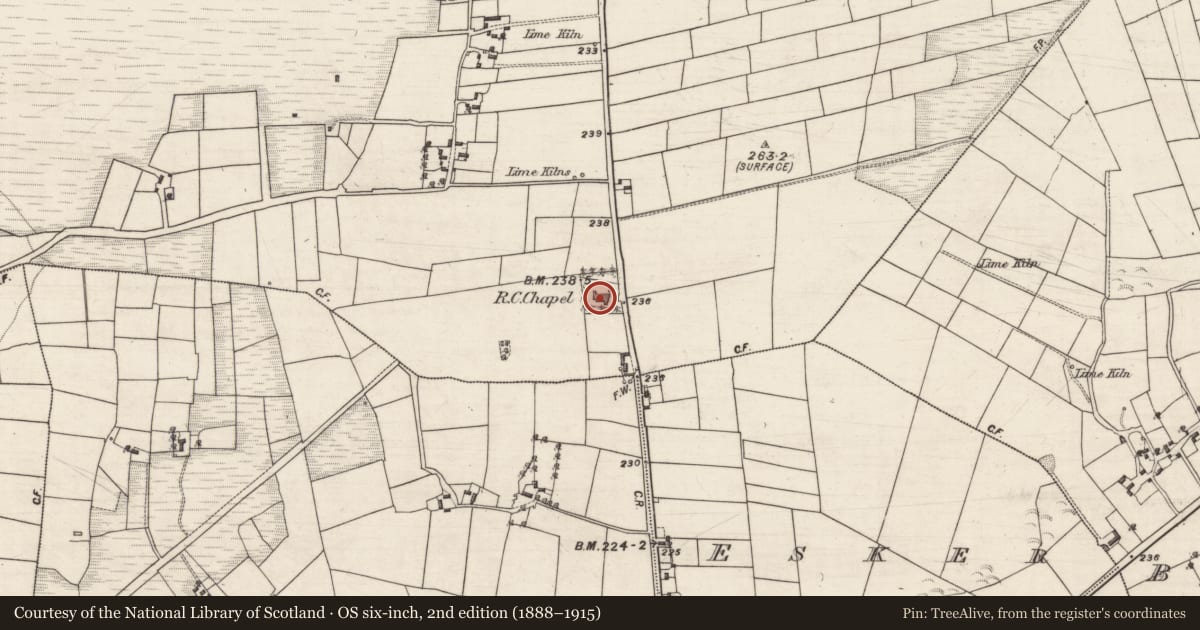Ordnance Survey six-inch map, 2nd edition (1888–1915) covering the location of Church, Skehanagh, County Galway, with a pin at the register's coordinates
