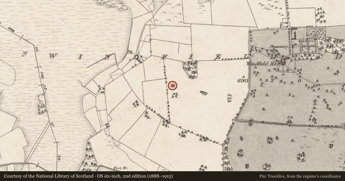 Ordnance Survey six-inch map, 2nd edition (1888–1915) covering the location of Designed landscape feature, Windfield Demesne, County Galway, with a pin at the register's coordinates