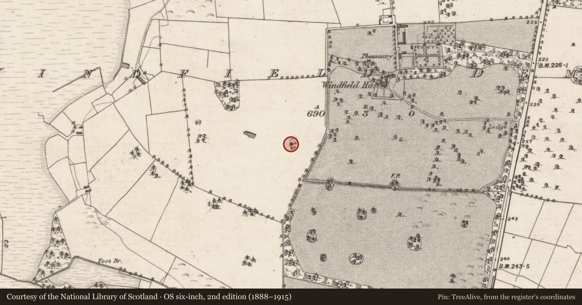 Ordnance Survey six-inch map, 2nd edition (1888–1915) covering the location of Designed landscape feature, Windfield Demesne, County Galway, with a pin at the register's coordinates