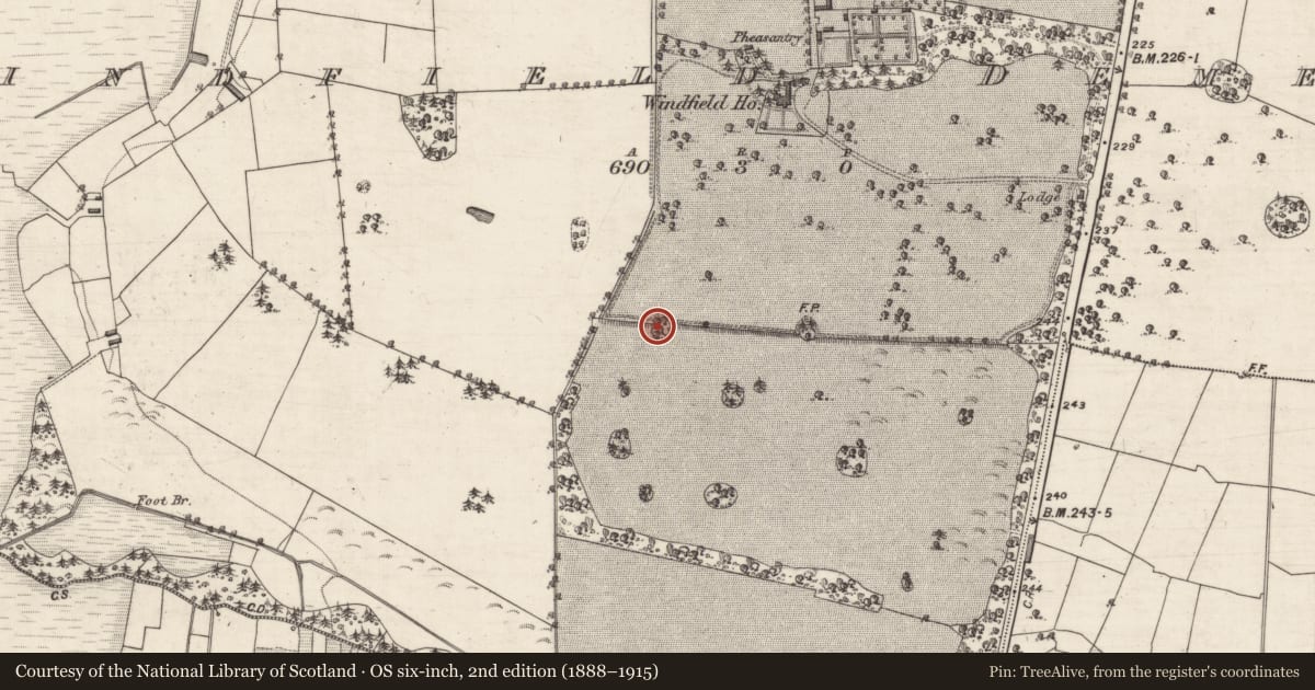 Ordnance Survey six-inch map, 2nd edition (1888–1915) covering the location of Designed landscape - tree-ring, Windfield Demesne, County Galway, with a pin at the register's coordinates