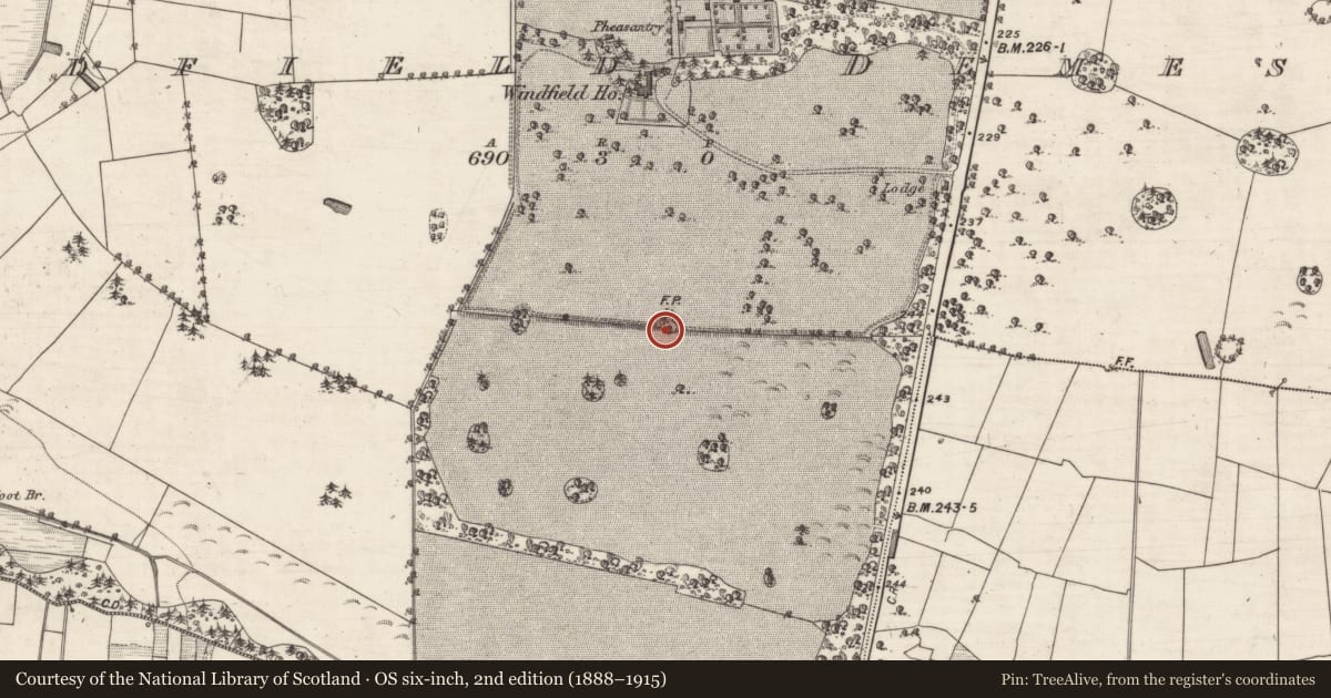 Ordnance Survey six-inch map, 2nd edition (1888–1915) covering the location of Designed landscape - tree-ring, Windfield Demesne, County Galway, with a pin at the register's coordinates
