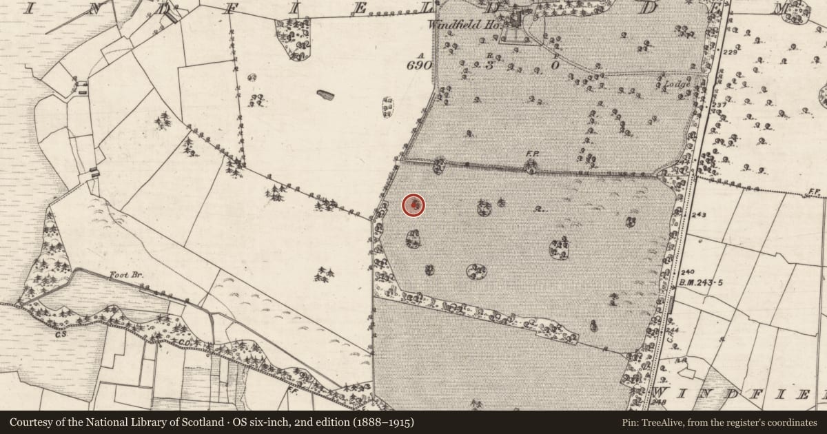 Ordnance Survey six-inch map, 2nd edition (1888–1915) covering the location of Designed landscape feature, Windfield Demesne, County Galway, with a pin at the register's coordinates
