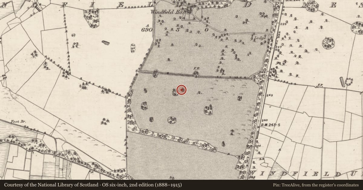 Ordnance Survey six-inch map, 2nd edition (1888–1915) covering the location of Designed landscape feature, Windfield Demesne, County Galway, with a pin at the register's coordinates