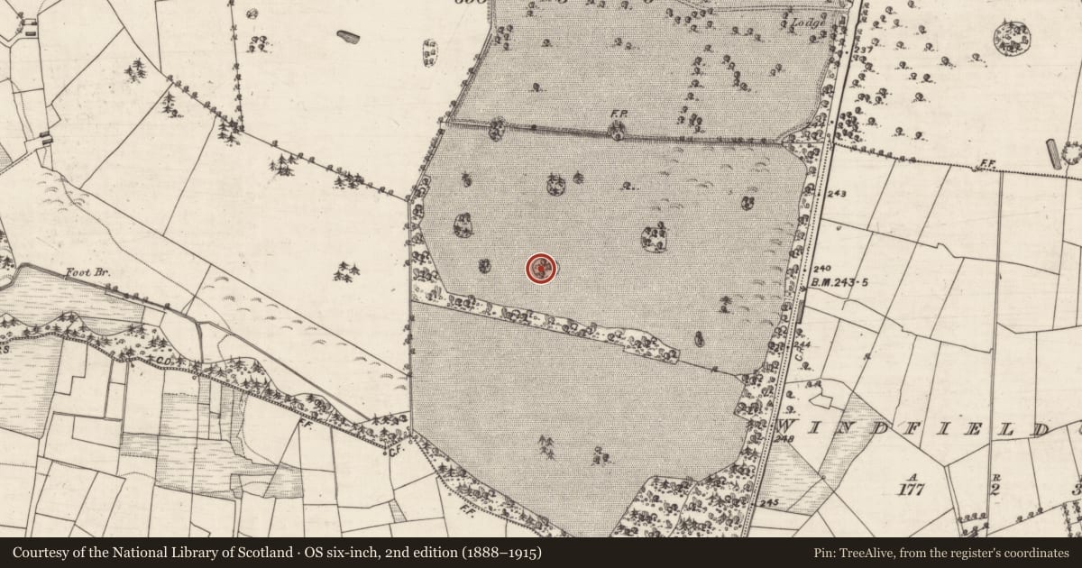 Ordnance Survey six-inch map, 2nd edition (1888–1915) covering the location of Designed landscape - tree-ring, Windfield Demesne, County Galway, with a pin at the register's coordinates