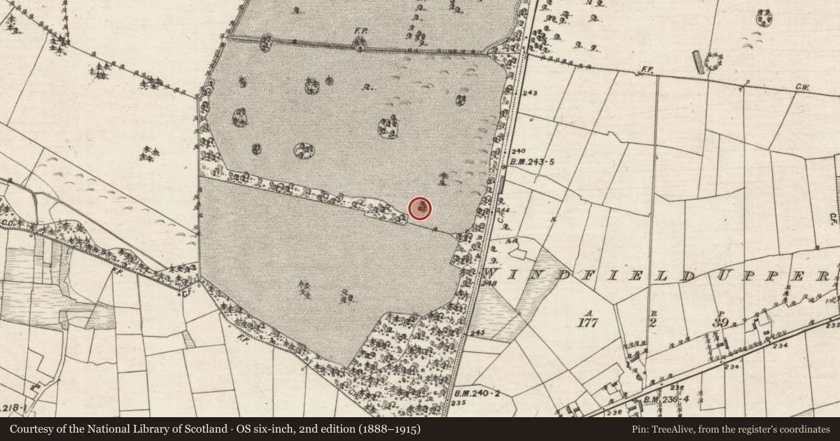 Ordnance Survey six-inch map, 2nd edition (1888–1915) covering the location of Designed landscape feature, Windfield Demesne, County Galway, with a pin at the register's coordinates