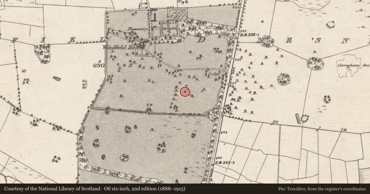 Ordnance Survey six-inch map, 2nd edition (1888–1915) covering the location of Designed landscape feature, Windfield Demesne, County Galway, with a pin at the register's coordinates