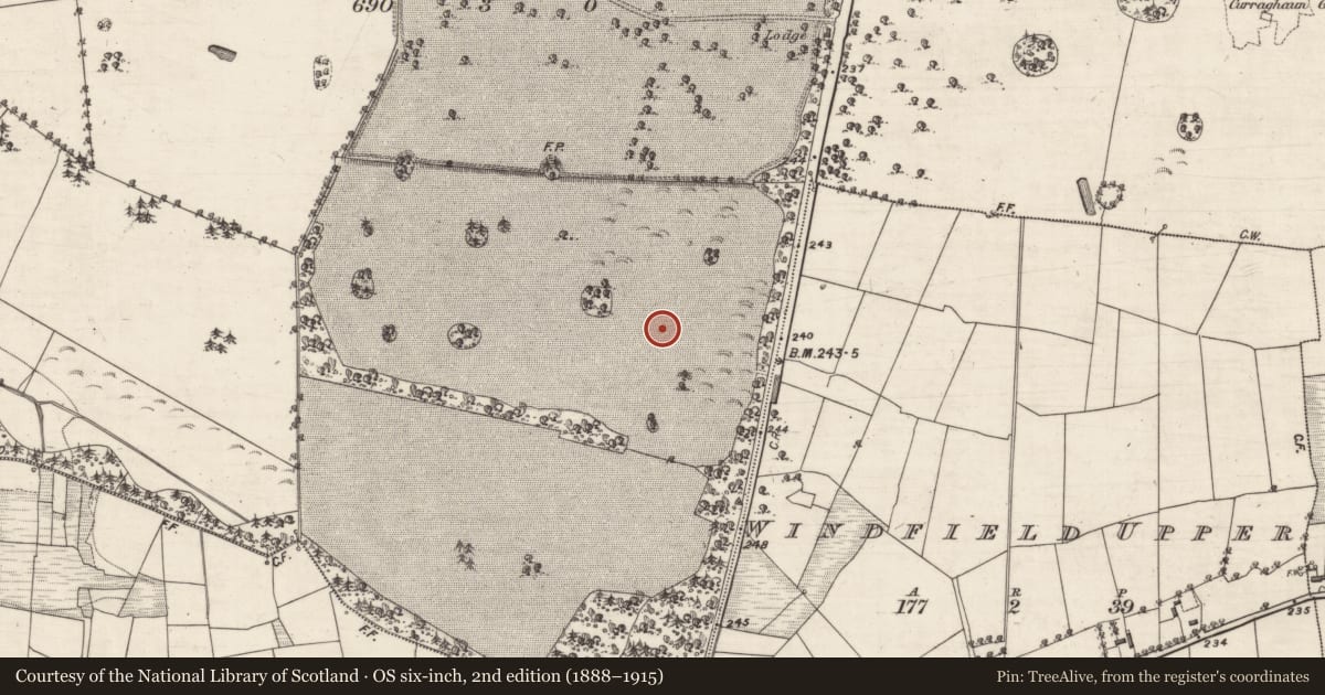 Ordnance Survey six-inch map, 2nd edition (1888–1915) covering the location of Designed landscape feature, Windfield Demesne, County Galway, with a pin at the register's coordinates