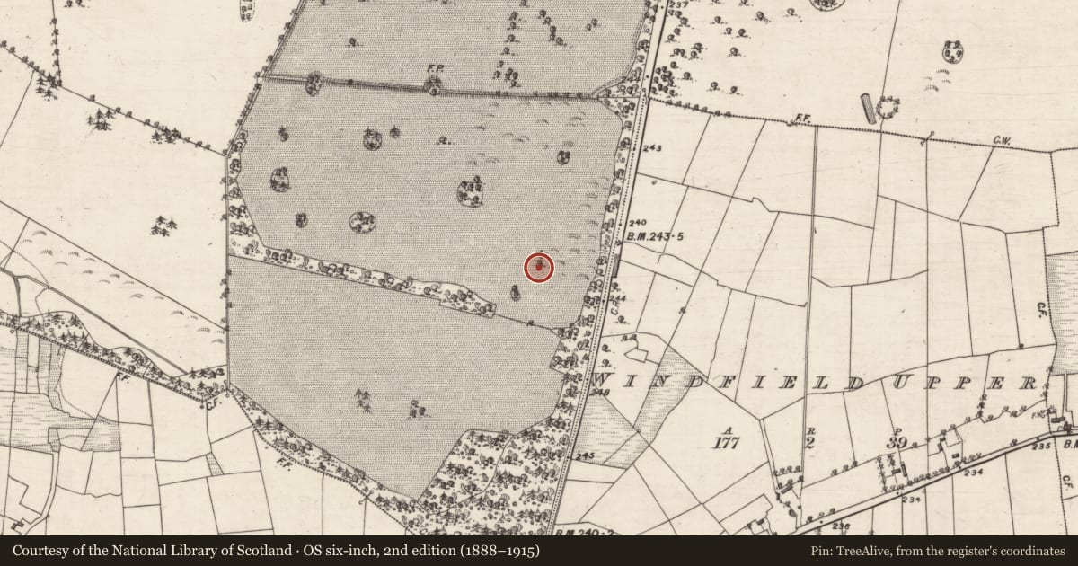 Ordnance Survey six-inch map, 2nd edition (1888–1915) covering the location of Designed landscape feature, Windfield Demesne, County Galway, with a pin at the register's coordinates