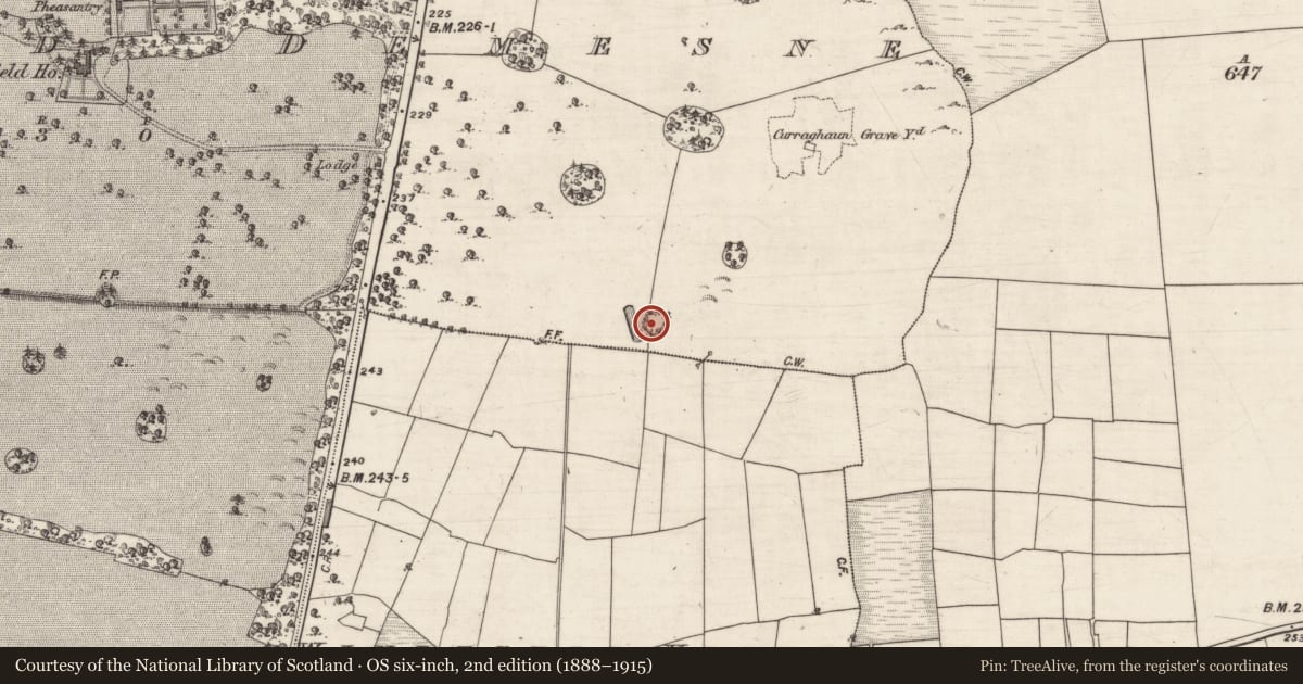 Ordnance Survey six-inch map, 2nd edition (1888–1915) covering the location of Designed landscape - tree-ring, Windfield Demesne, County Galway, with a pin at the register's coordinates