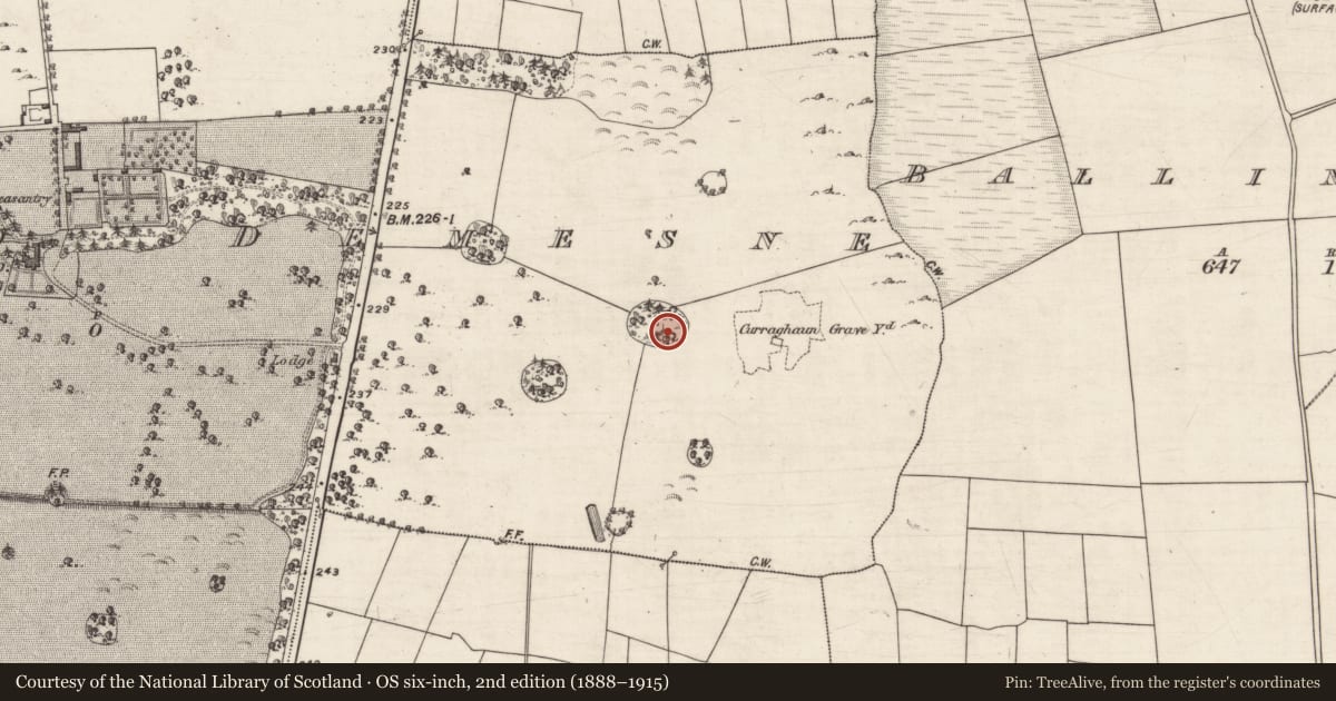 Ordnance Survey six-inch map, 2nd edition (1888–1915) covering the location of Enclosure, Windfield Demesne, County Galway, with a pin at the register's coordinates