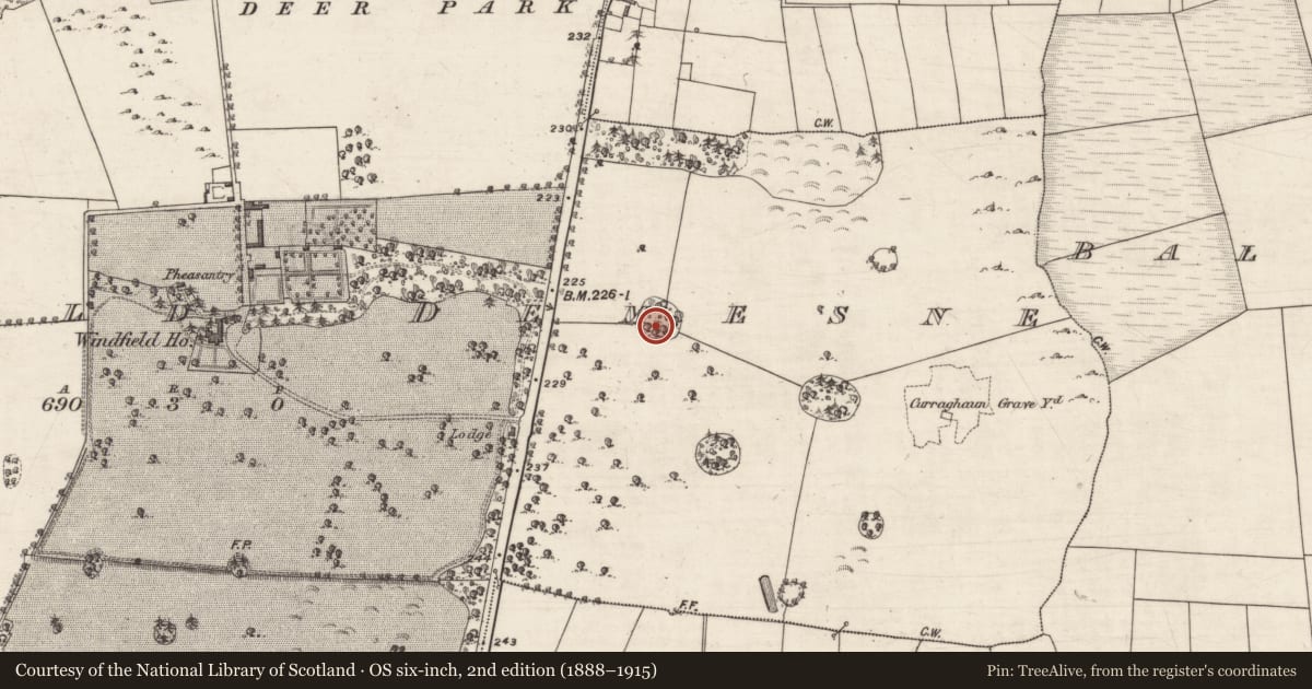 Ordnance Survey six-inch map, 2nd edition (1888–1915) covering the location of Designed landscape feature, Windfield Demesne, County Galway, with a pin at the register's coordinates